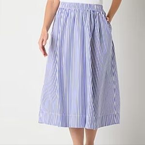 Blue and White Striped Skirt